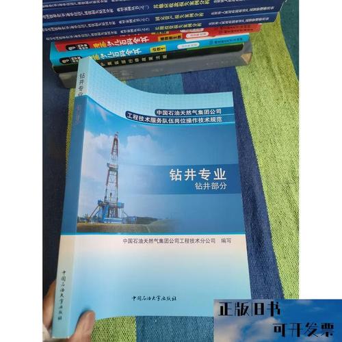 中國石油天然氣集團公司&middot;工程技術服務隊伍崗位操